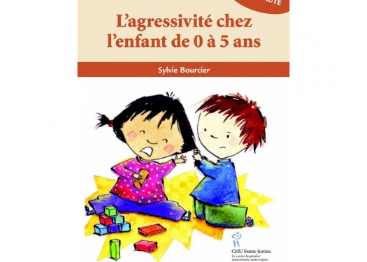 Agressivité chez l'enfant de 0 à 5 ans